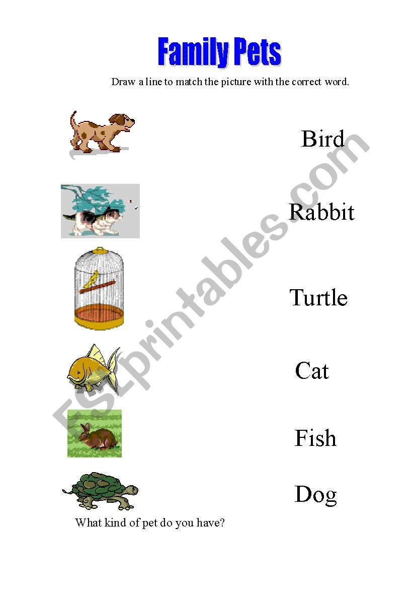 Family Pets worksheet