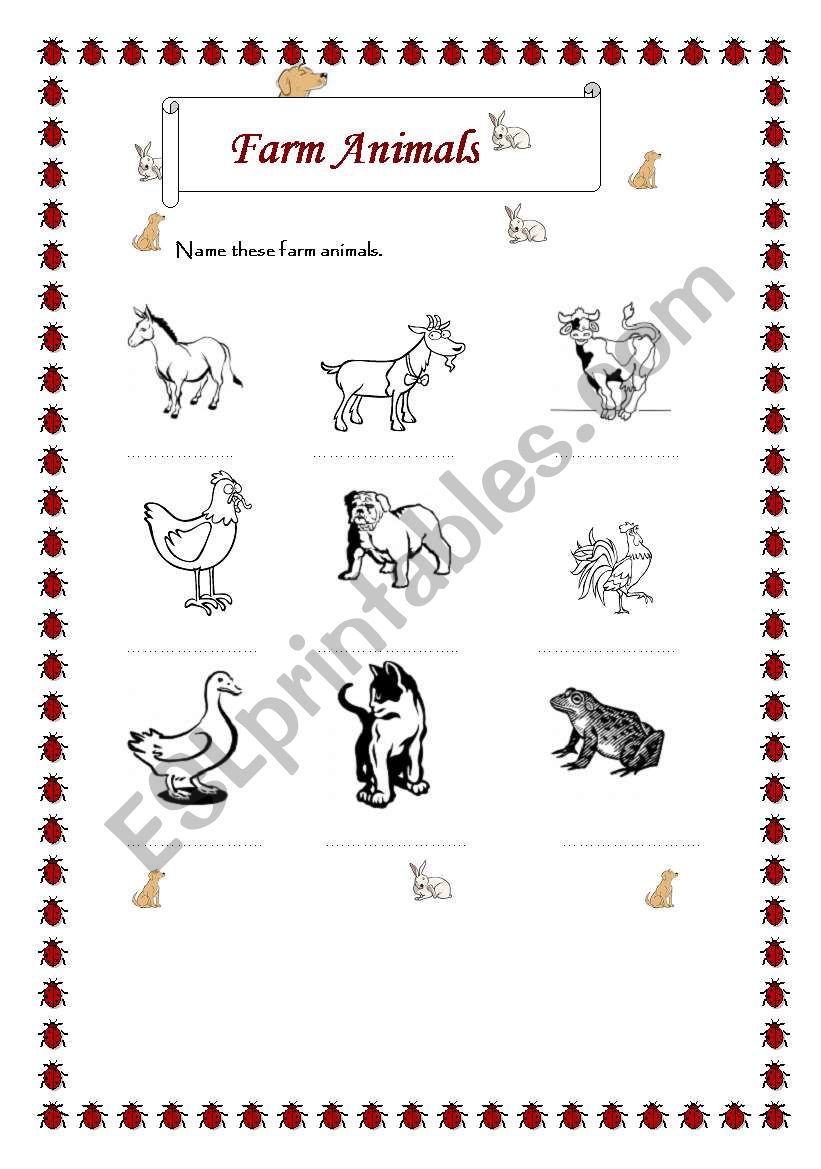 Farm Animals worksheet