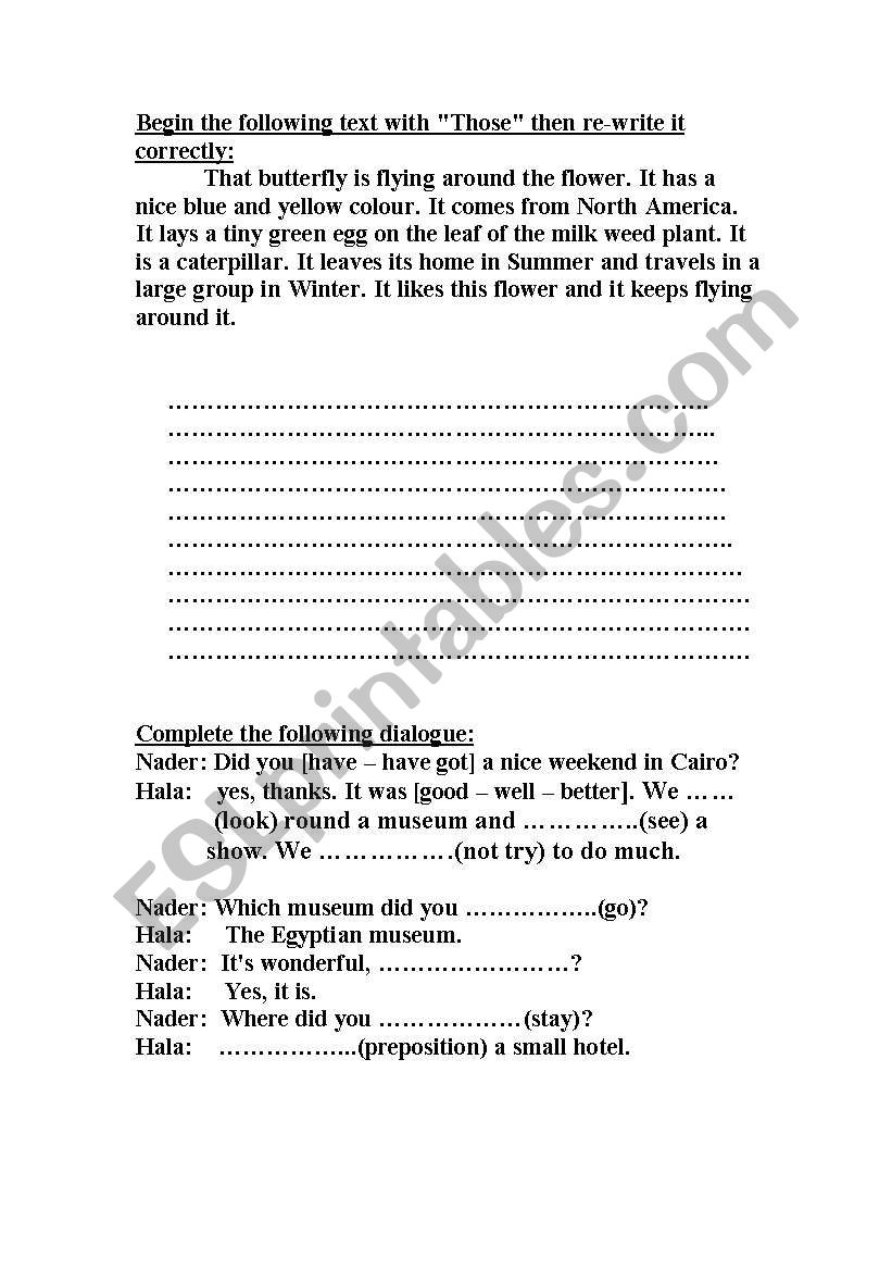 Plural and revision worksheet