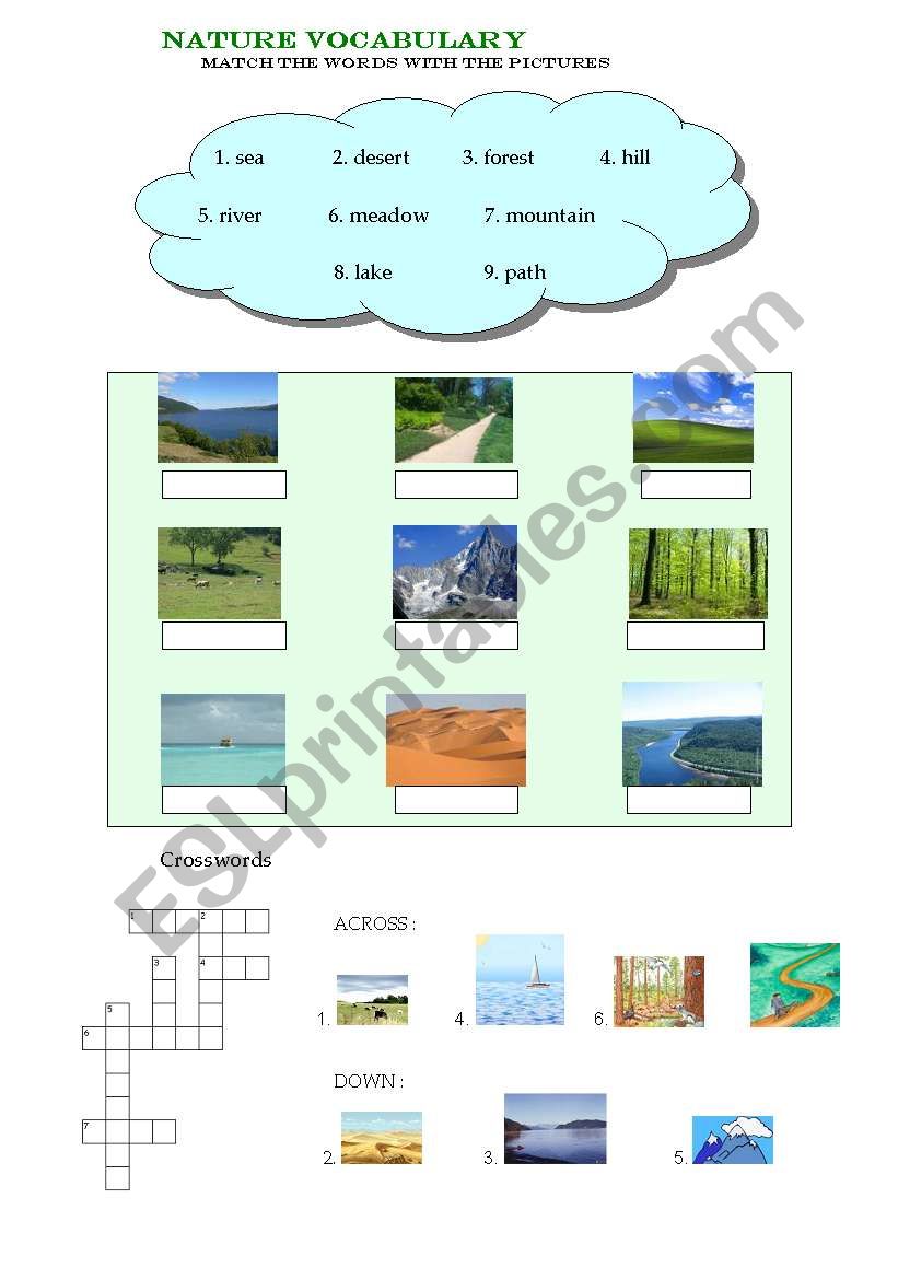 English worksheets: Let´s talk about nature