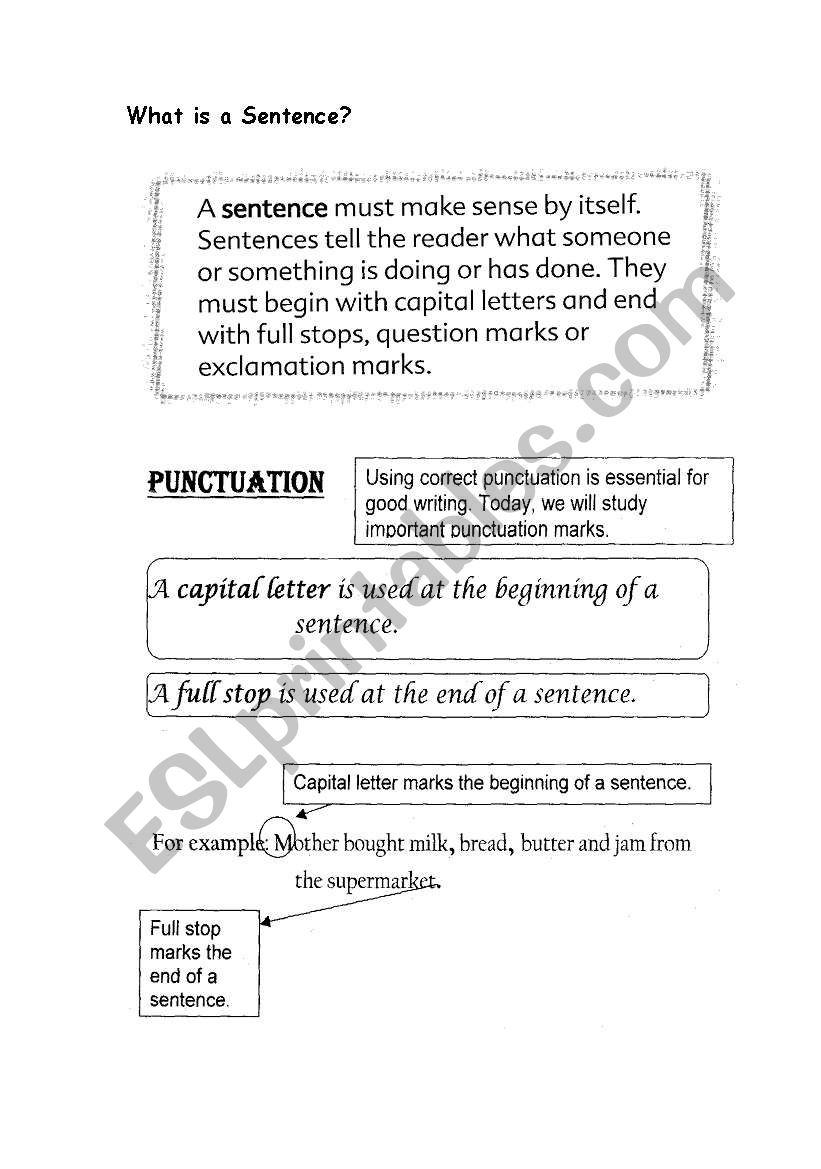 English worksheets: What is a Sentence