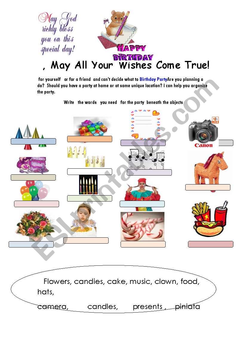 planning a birthday party worksheet