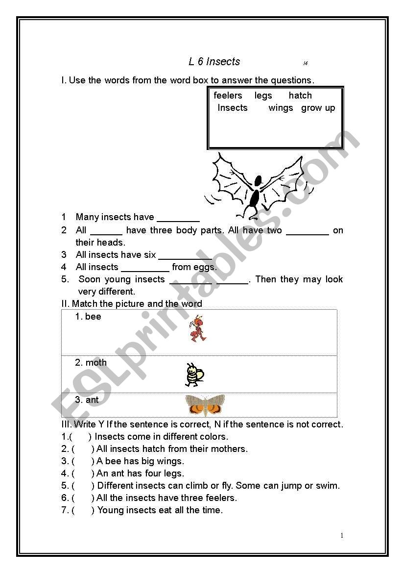 insects worksheet