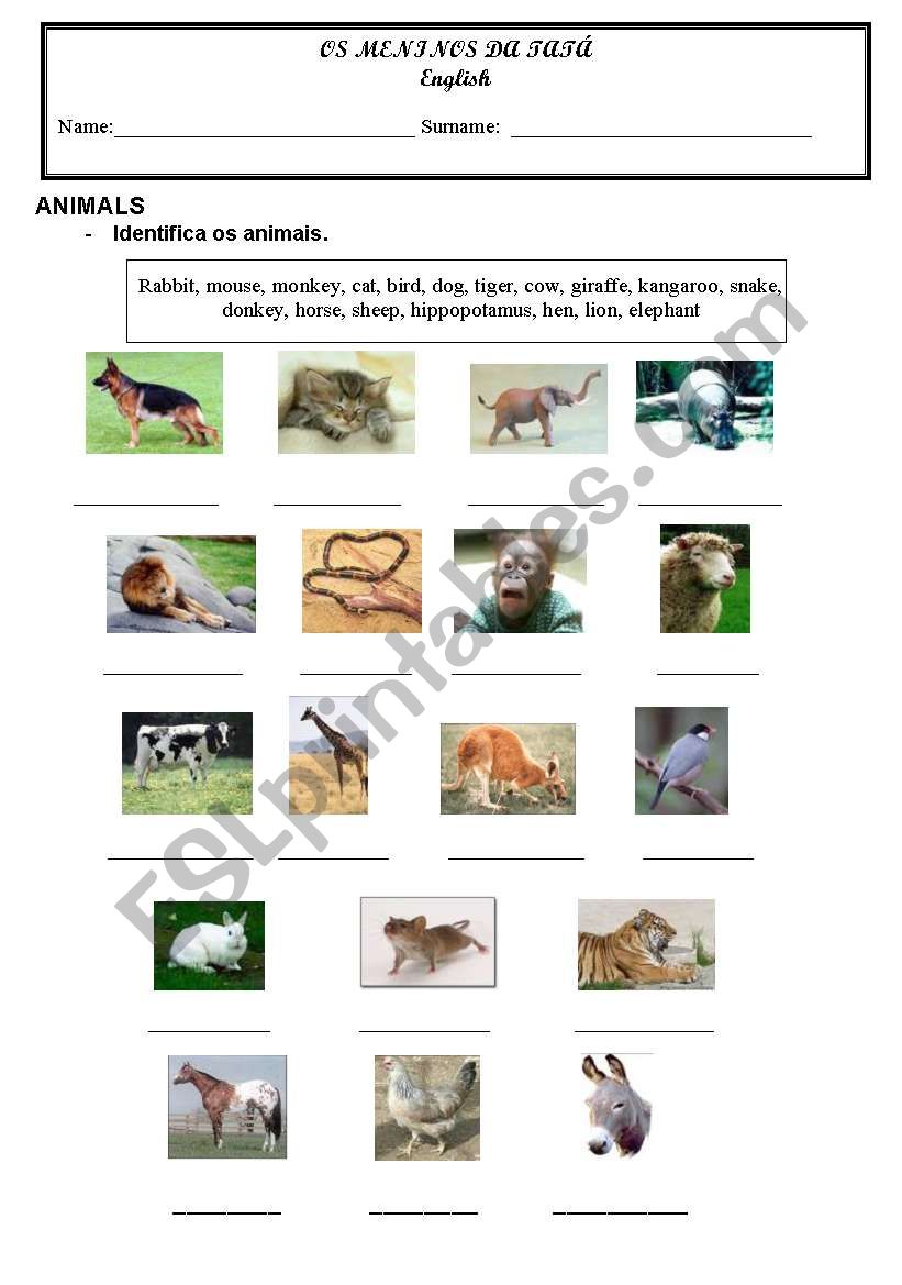 Animals worksheet