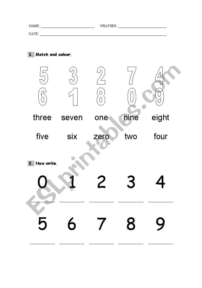 numbers worksheet