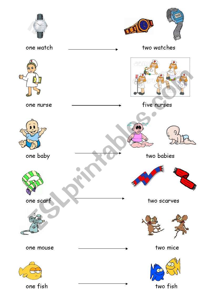 Irregular plurals worksheet