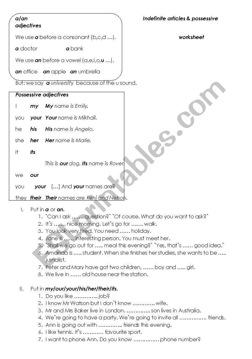 indefinite articles & possessive adjectives