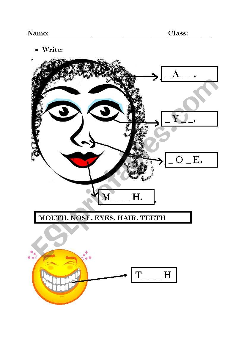 PARTS OF THE FACE worksheet