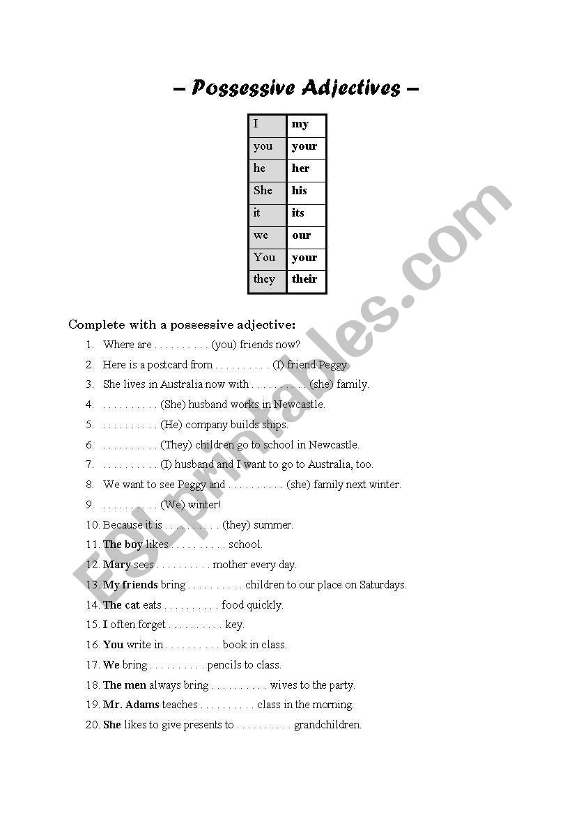 possessive adjectives worksheet