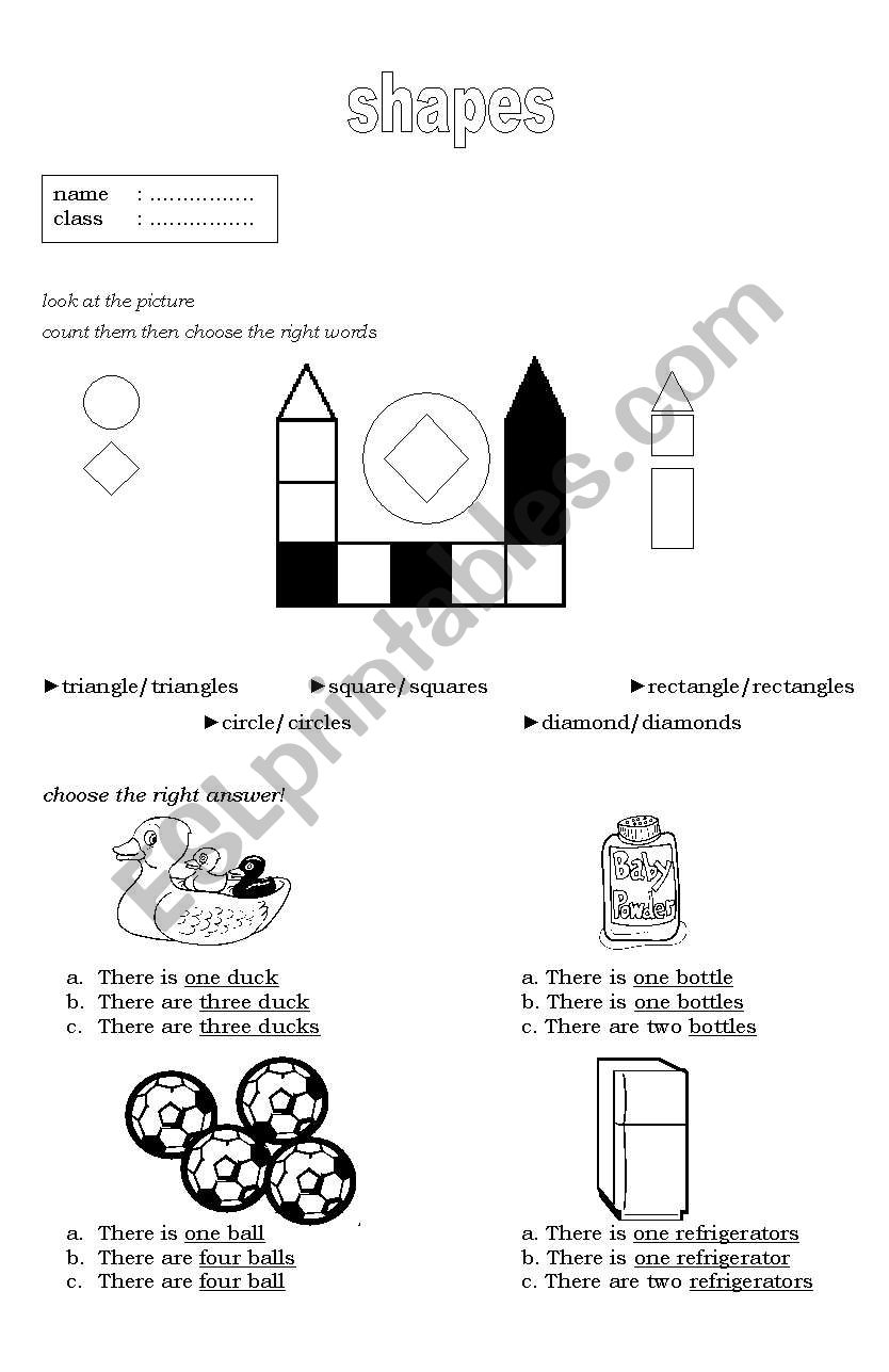 shapes and singular-plural worksheet