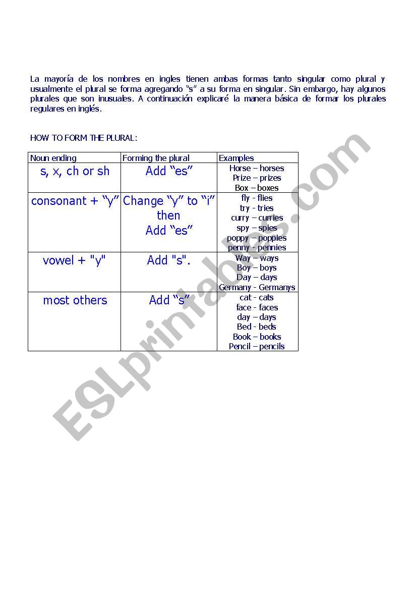 How to form the plural worksheet