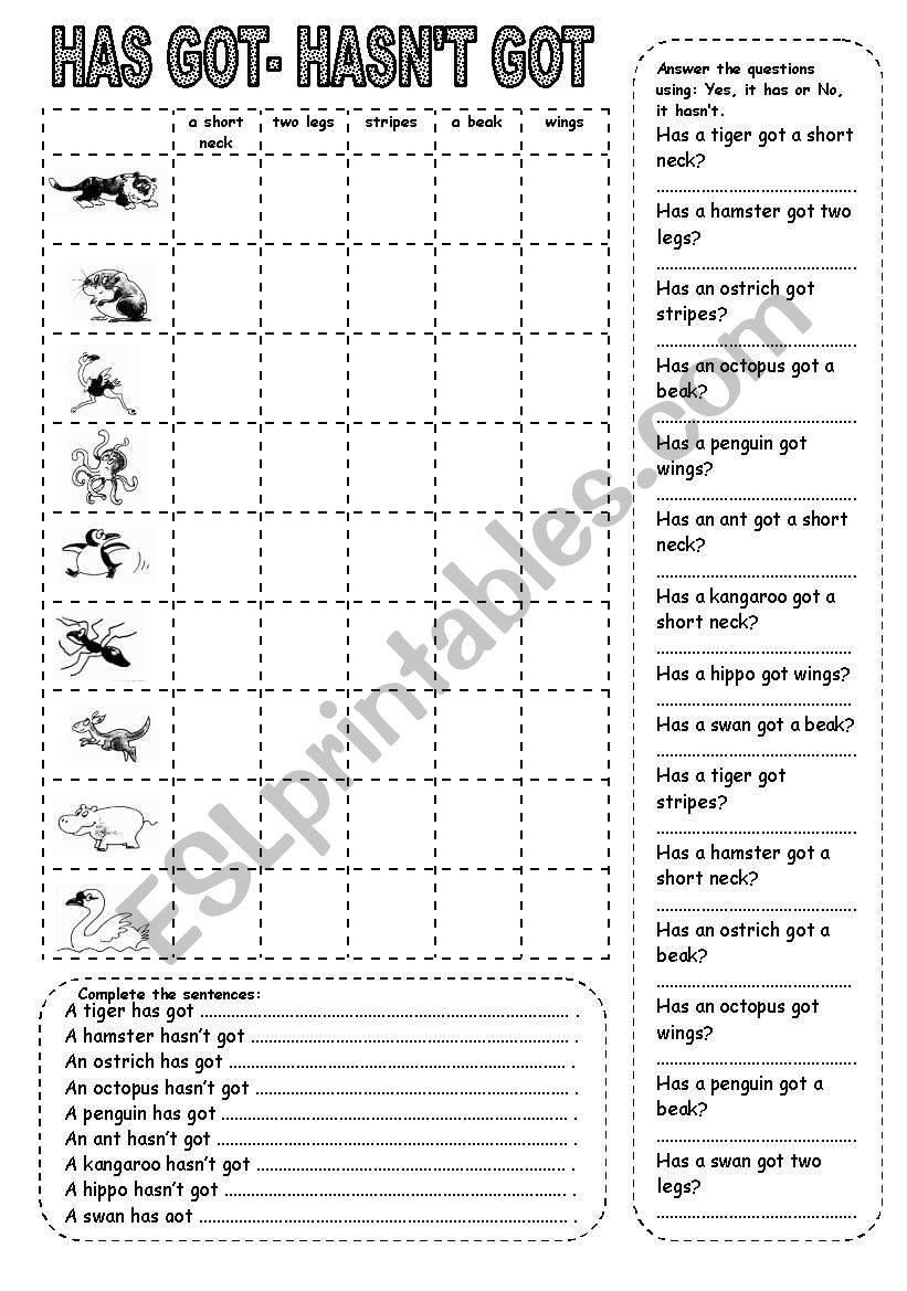 HAS GOT/HASN´T GOT ANIMALS (2) - ESL Worksheet By Kamilam