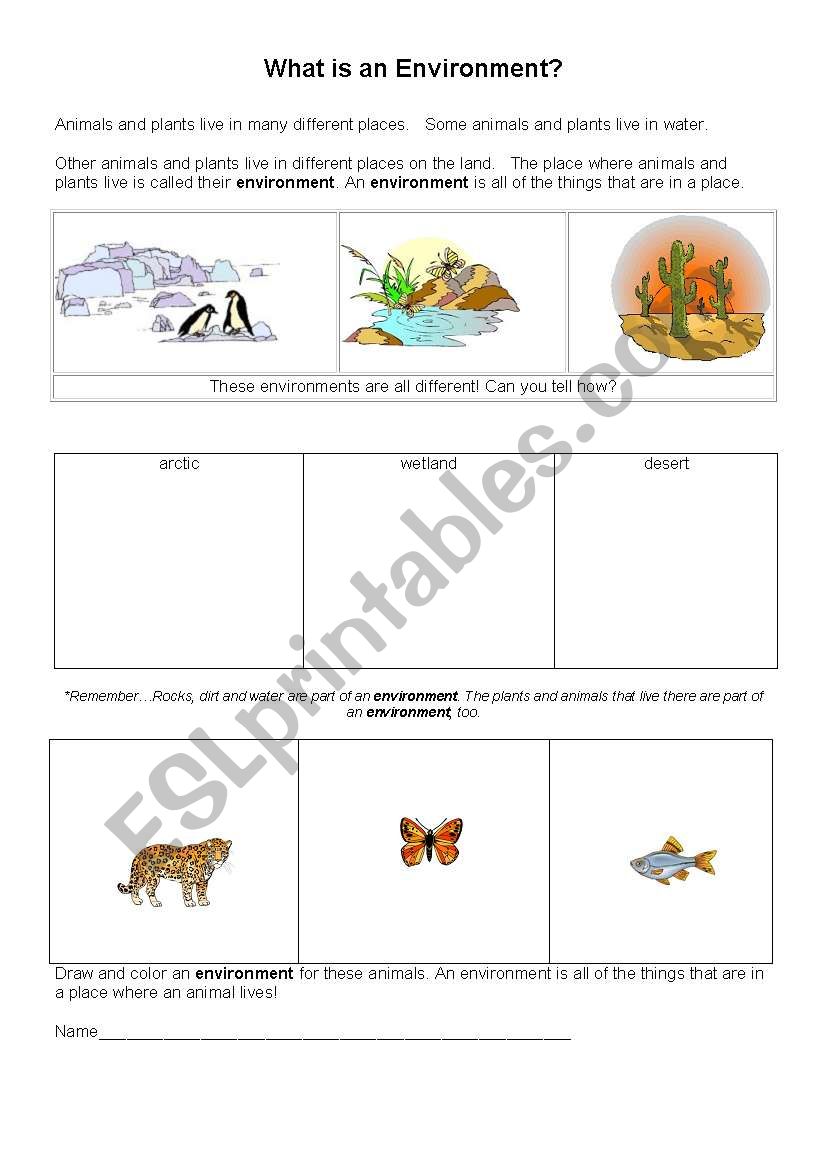 What is an environment worksheet