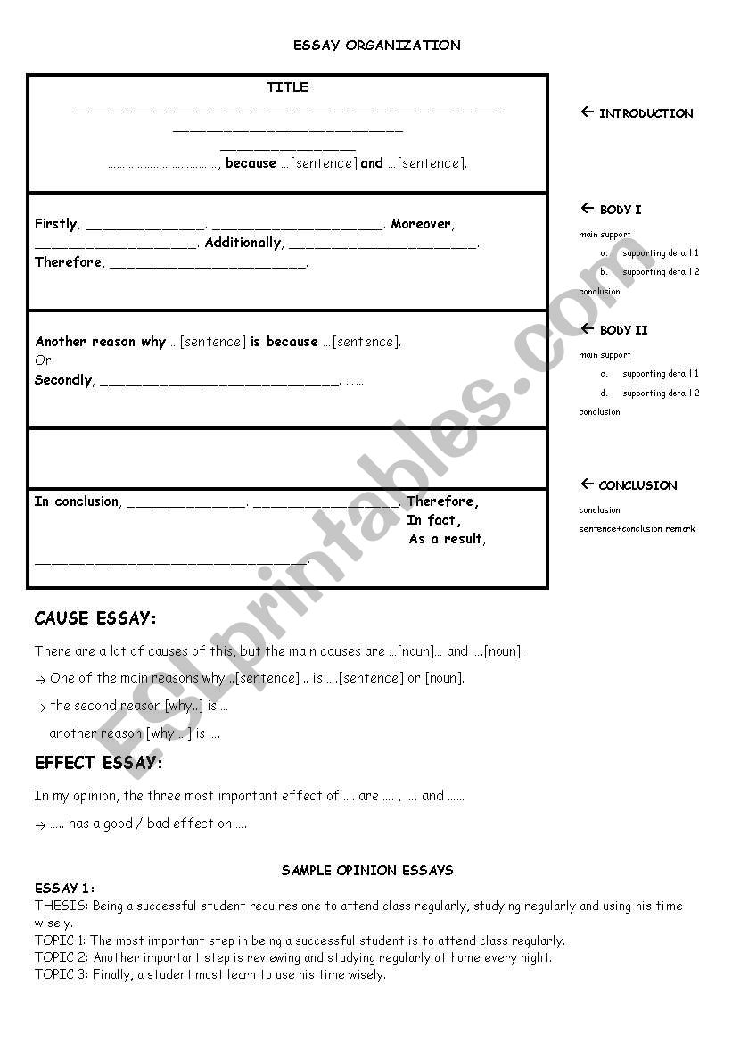 essay organization worksheets