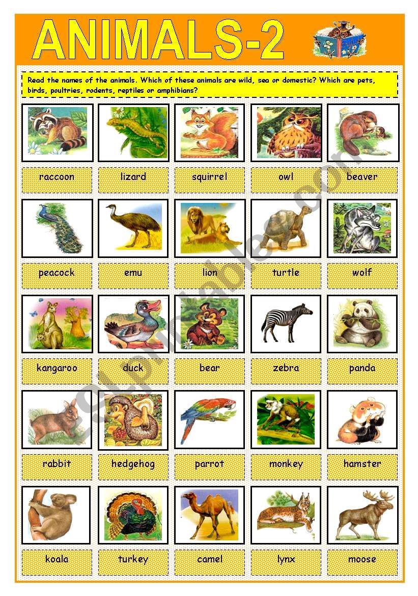 Animals - ESL worksheet by Aliona R