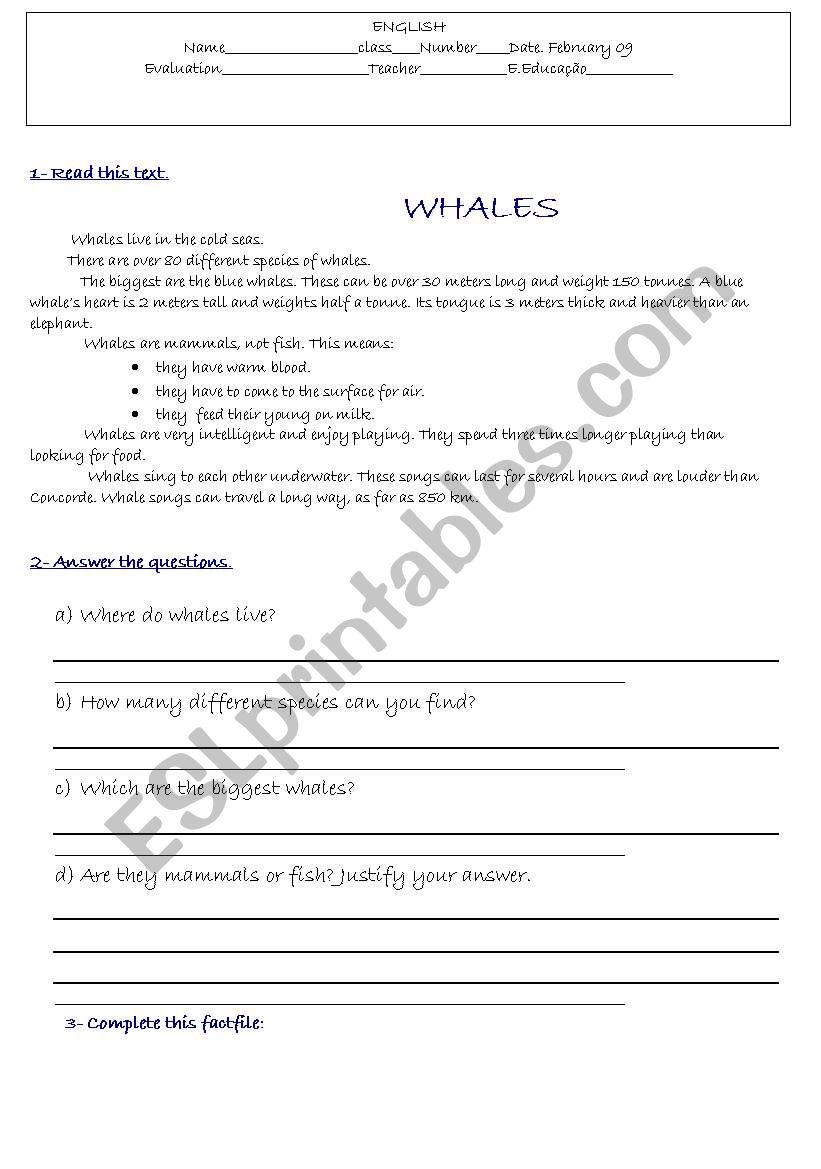 test worksheet