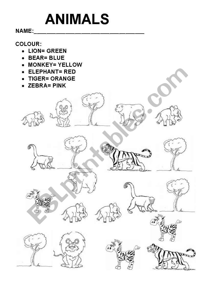 wild animals and colours worksheet