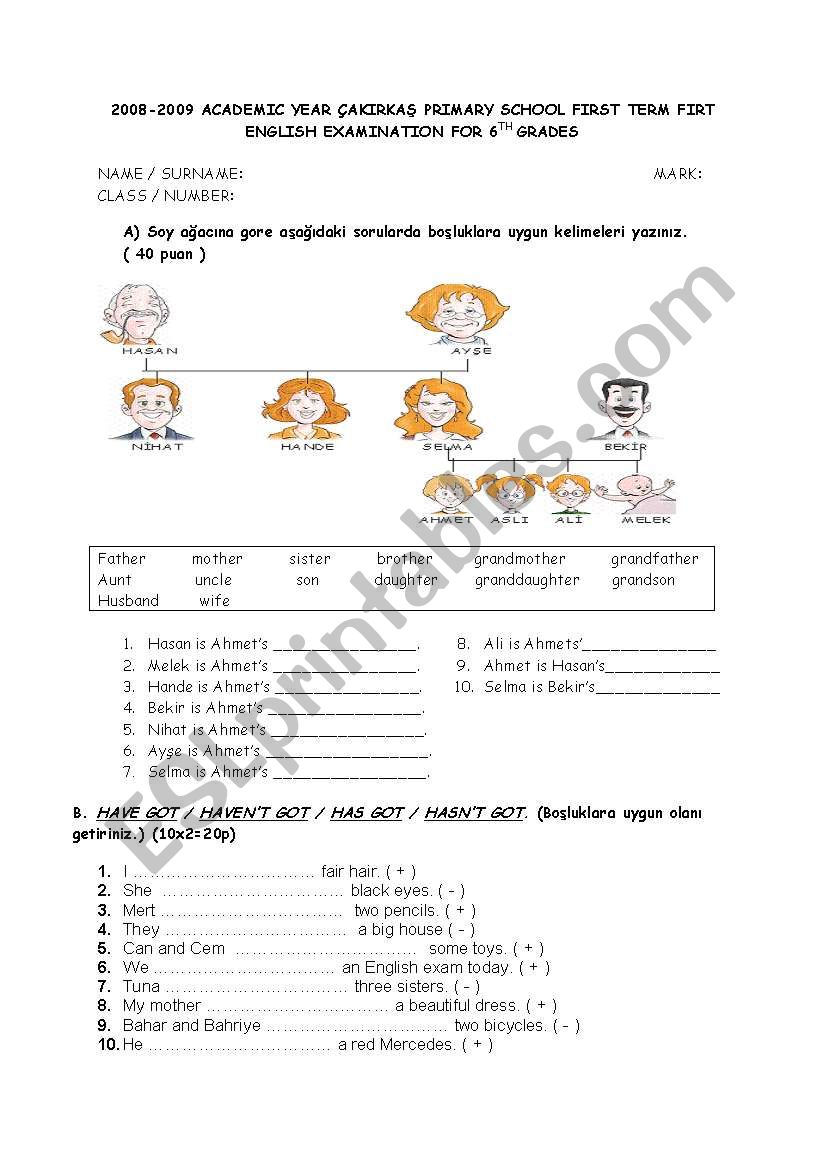 exam for 6th grades worksheet