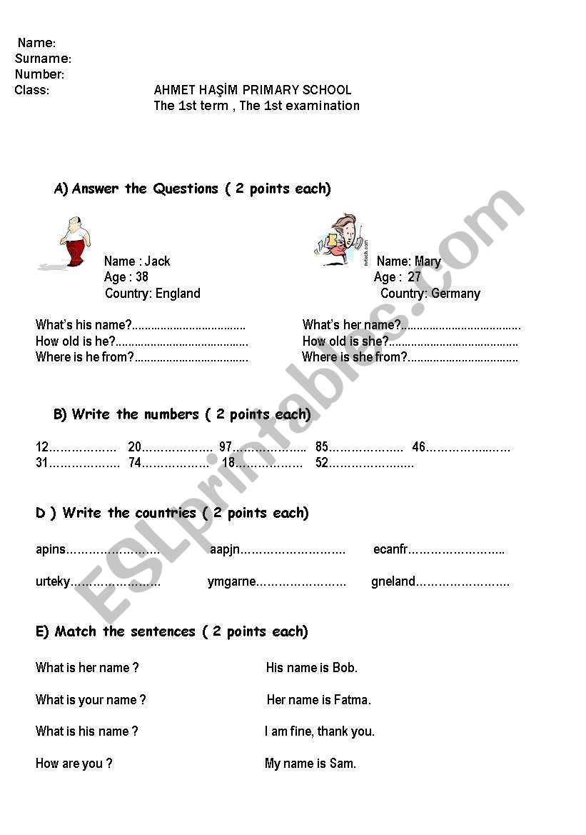 exam paper worksheet