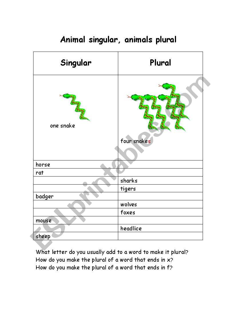 plural worksheet