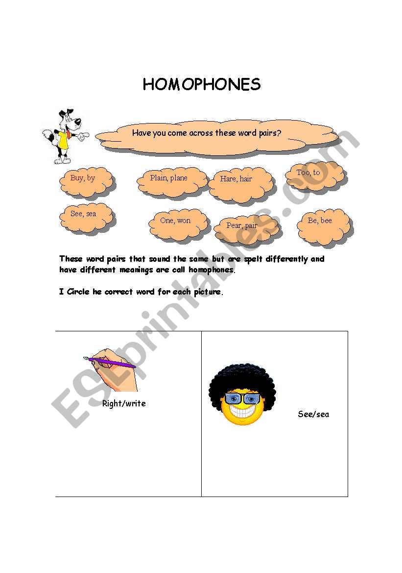 homophones worksheet