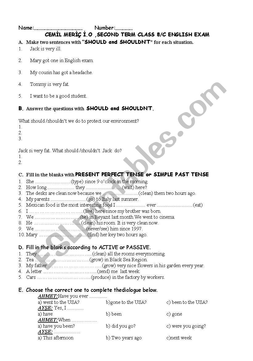 present perfect,should worksheet