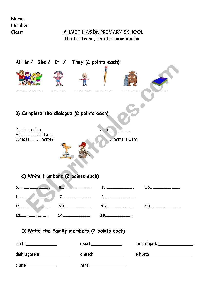 exam paper worksheet