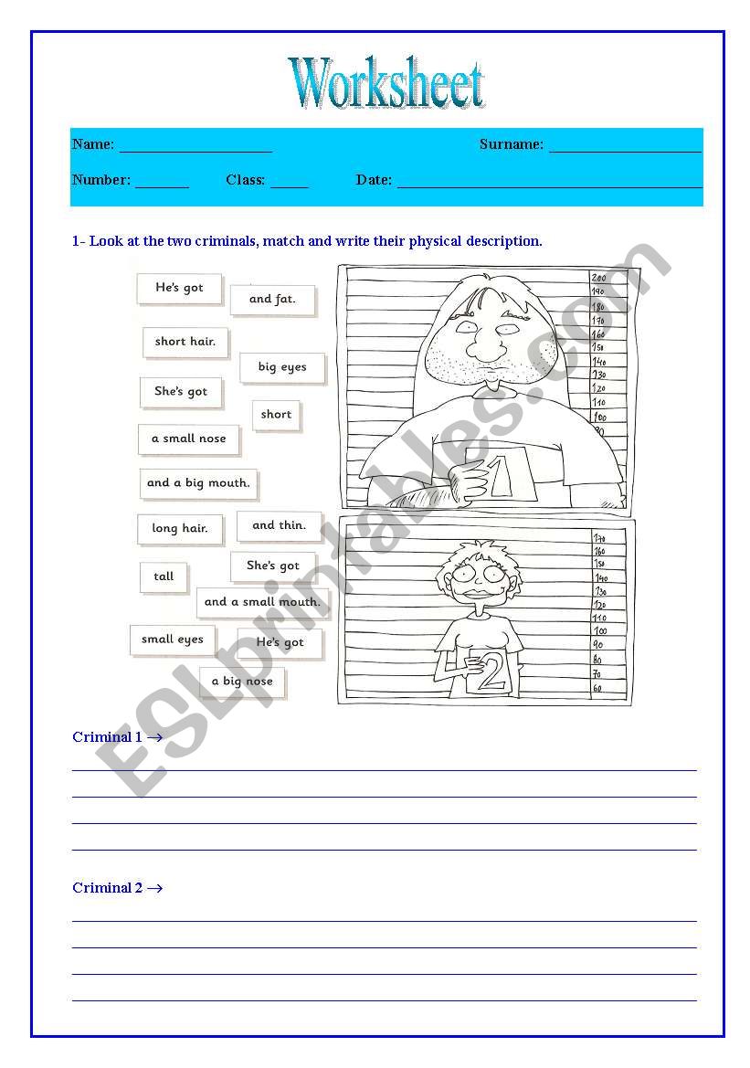 physical description 1 worksheet