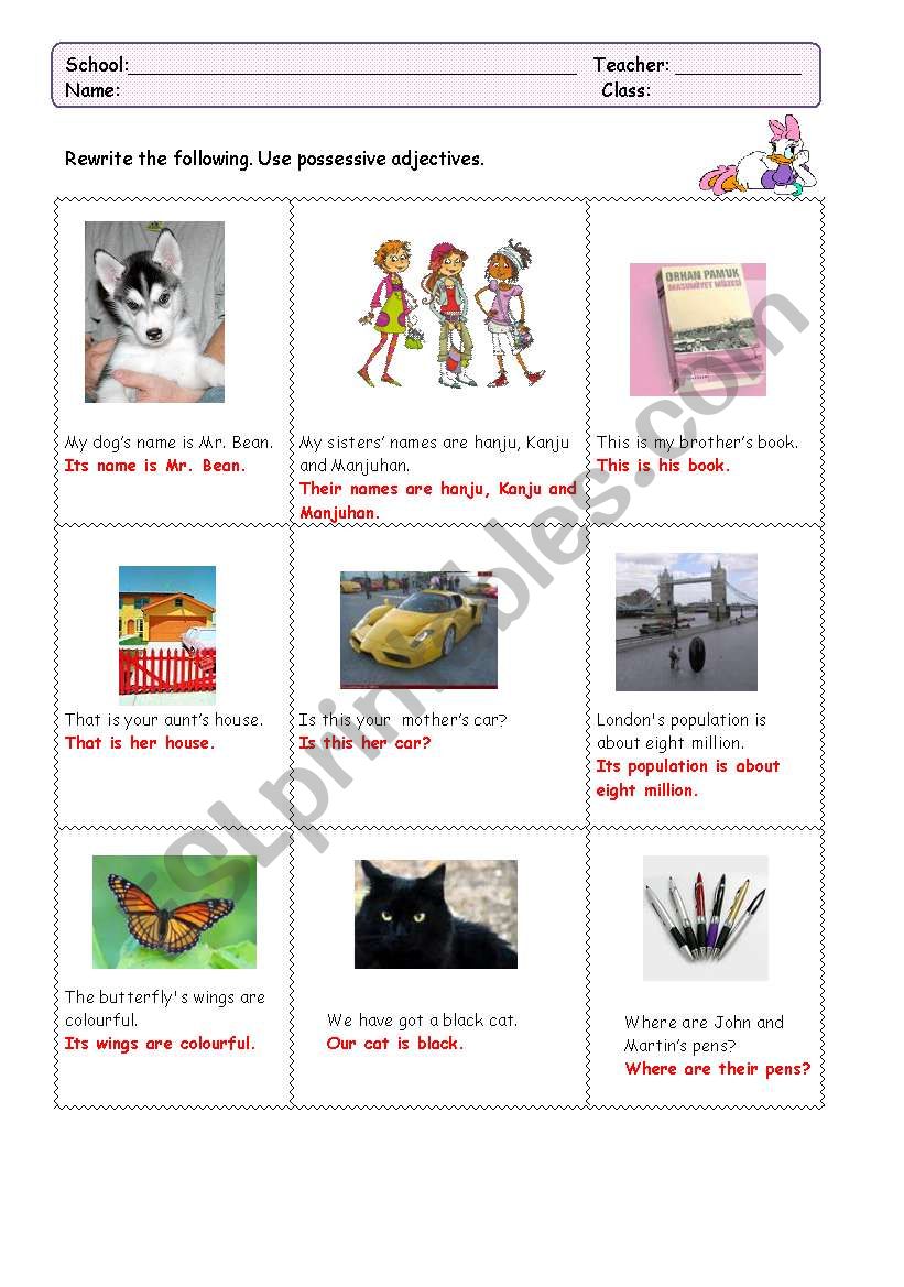 Possessive Adjectives worksheet