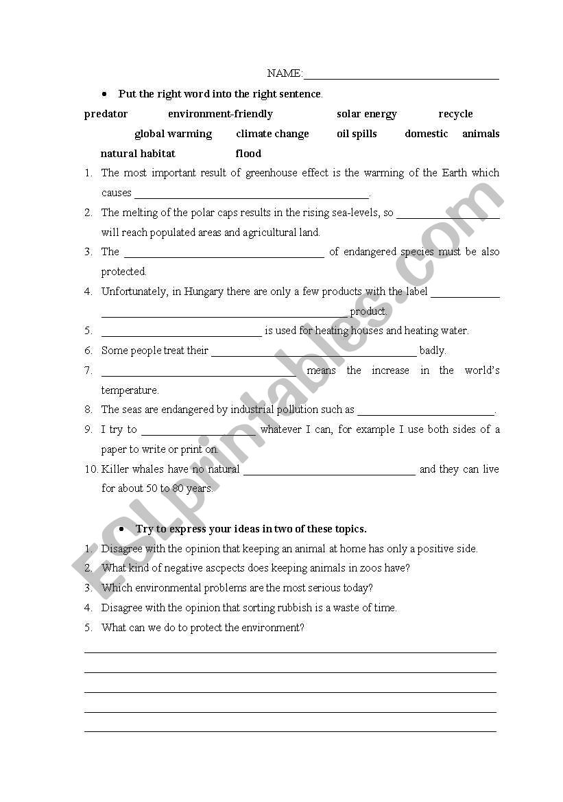 environment worksheet