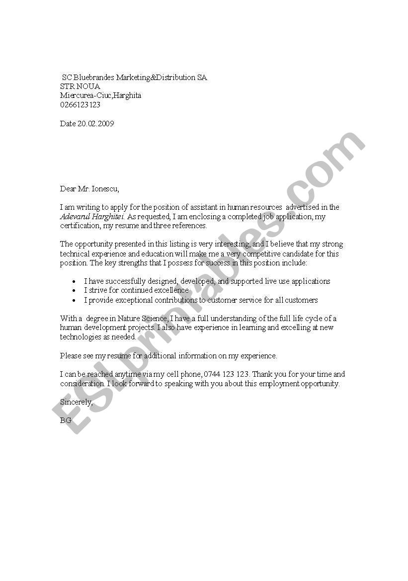 letter of application worksheet