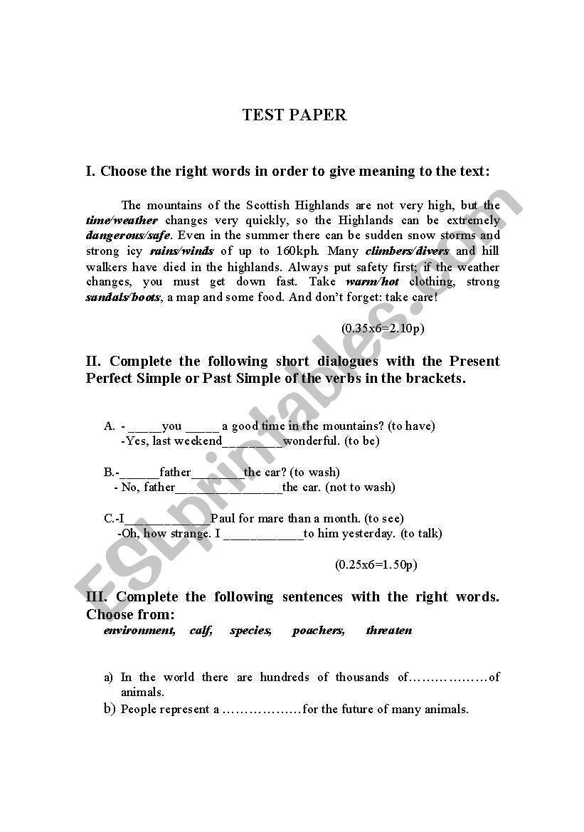 test paper worksheet