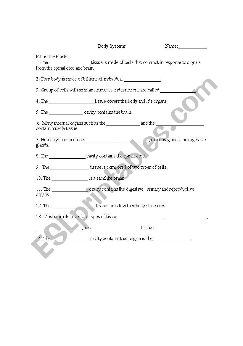 Body systems cloze activity worksheet