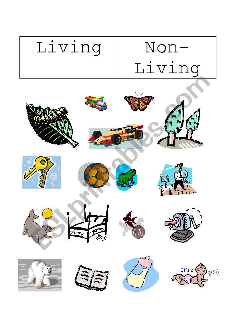 Living and Non-living worksheet