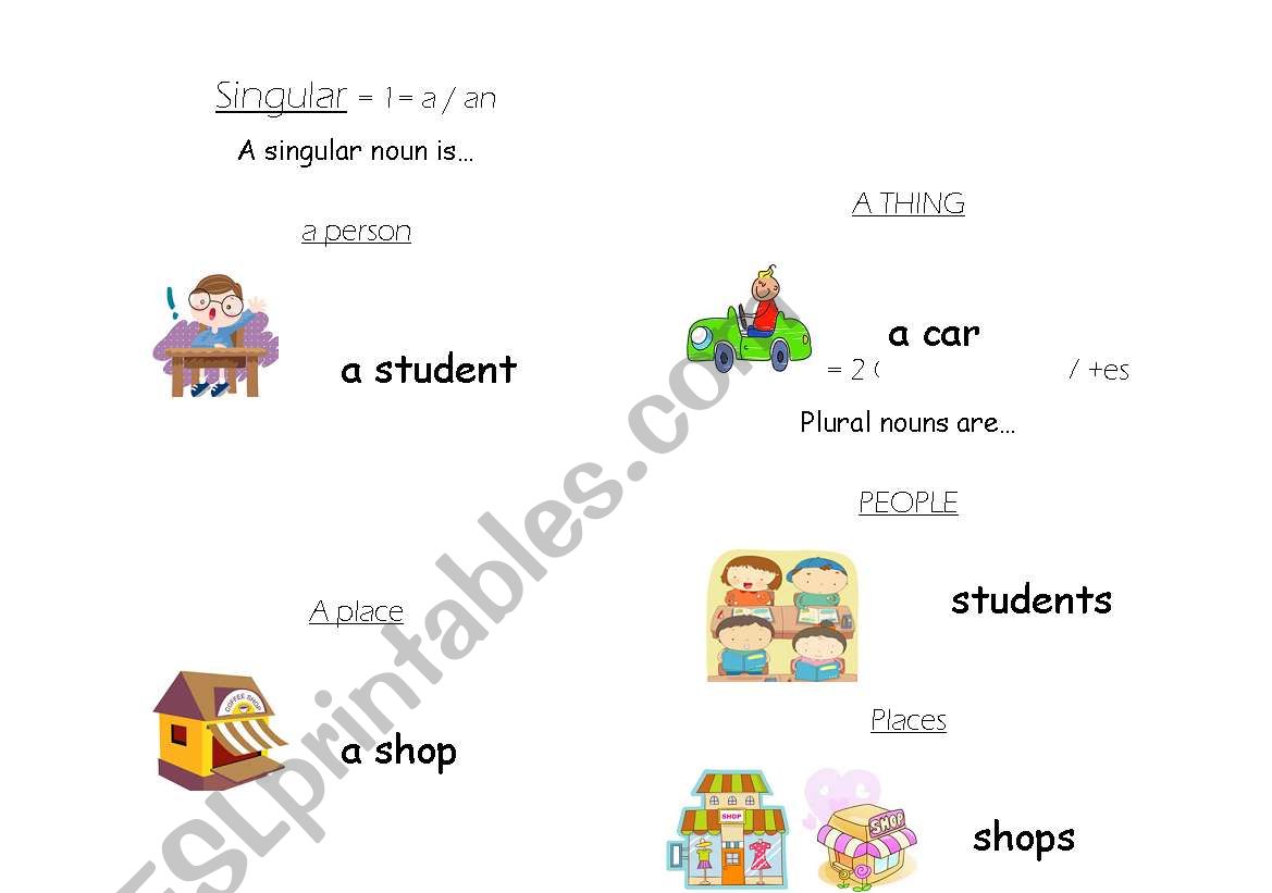 Singular and Plural Nouns  worksheet