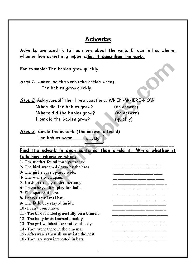 adverbs and homophones worksheet