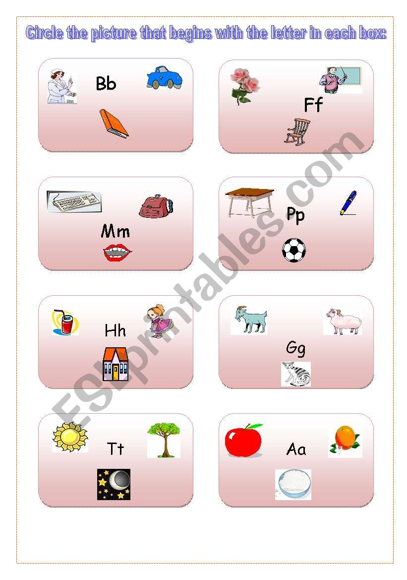 letters and pictures  worksheet