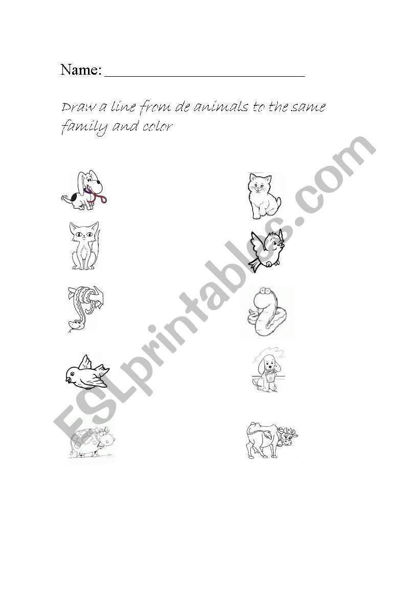 Animals Family worksheet