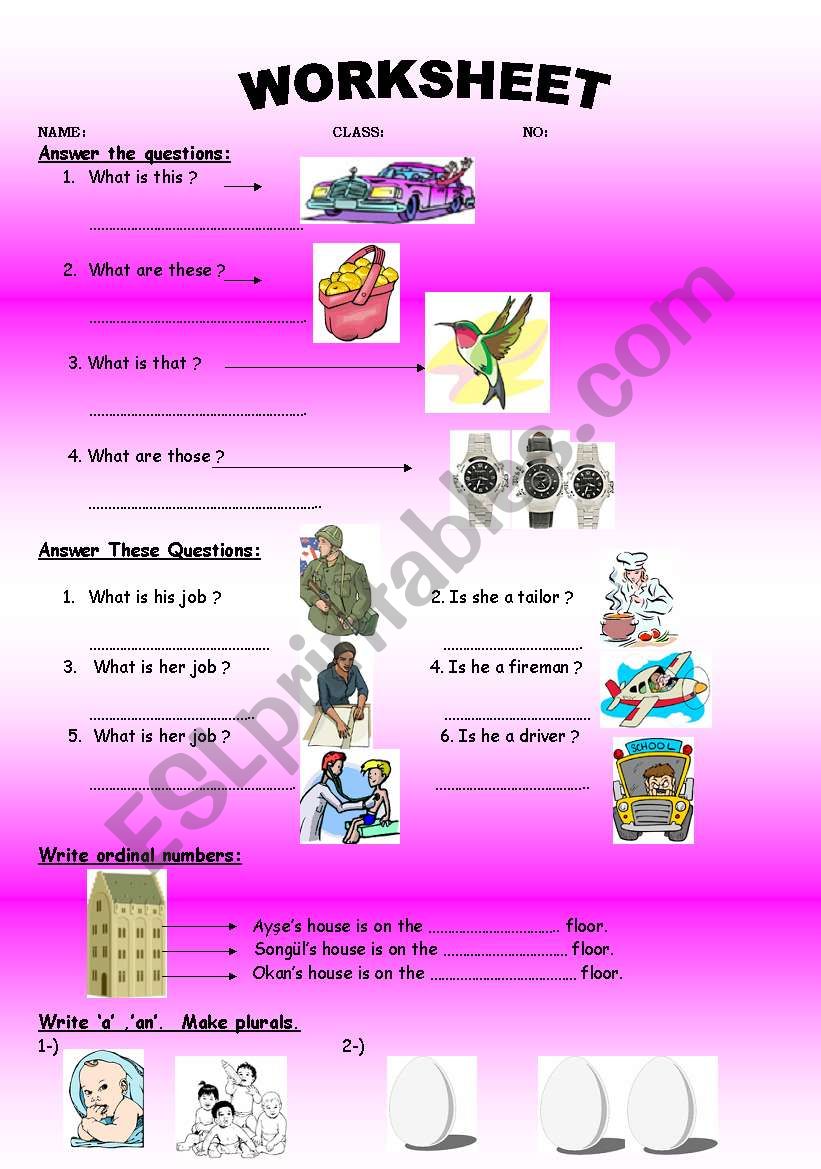 plural and singular and ordinal numbers