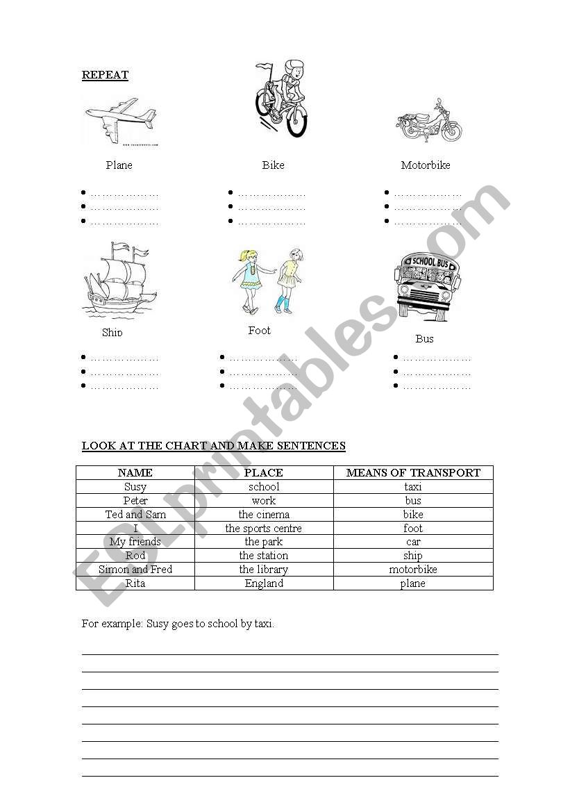 Transport worksheet