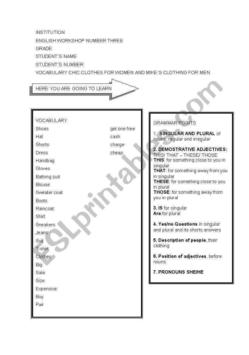 lesson planning singular and plural 1