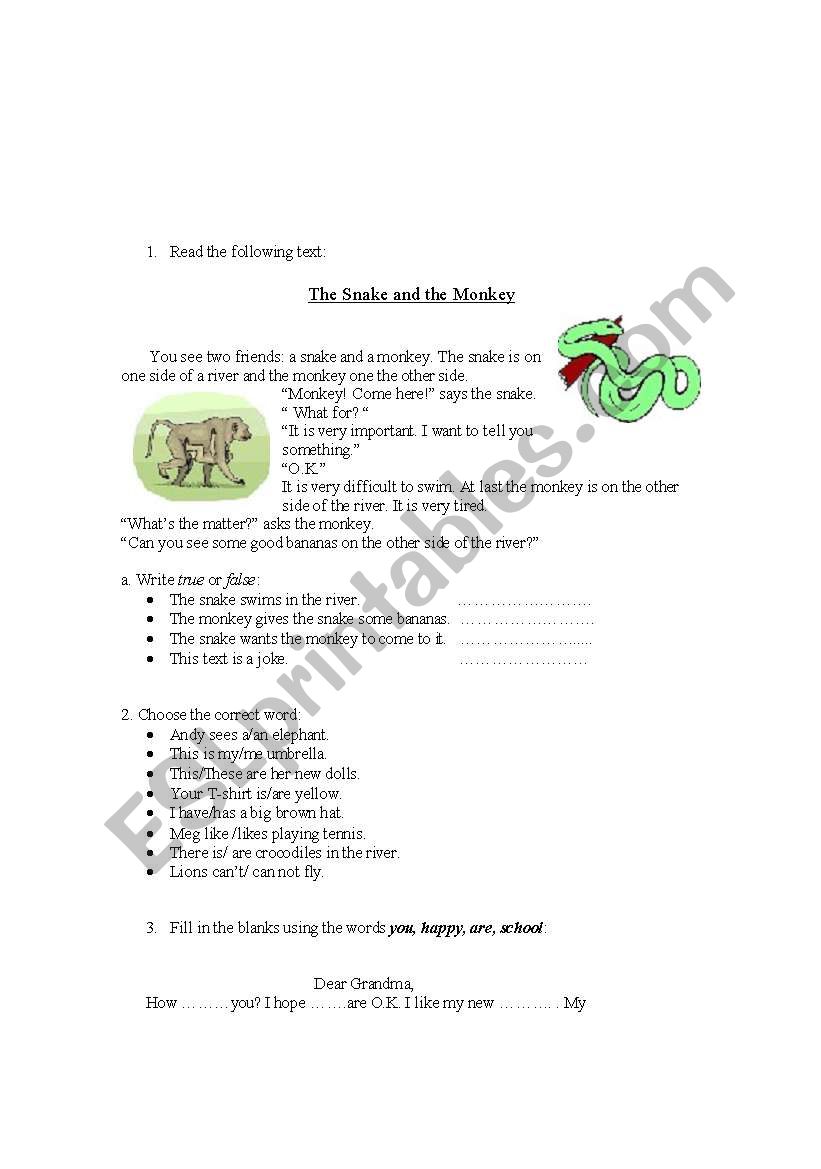 vocabulary and grammar worksheet