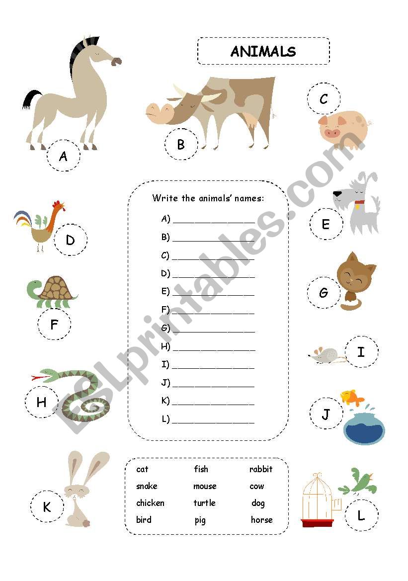 Animals - ESL worksheet by karerurose