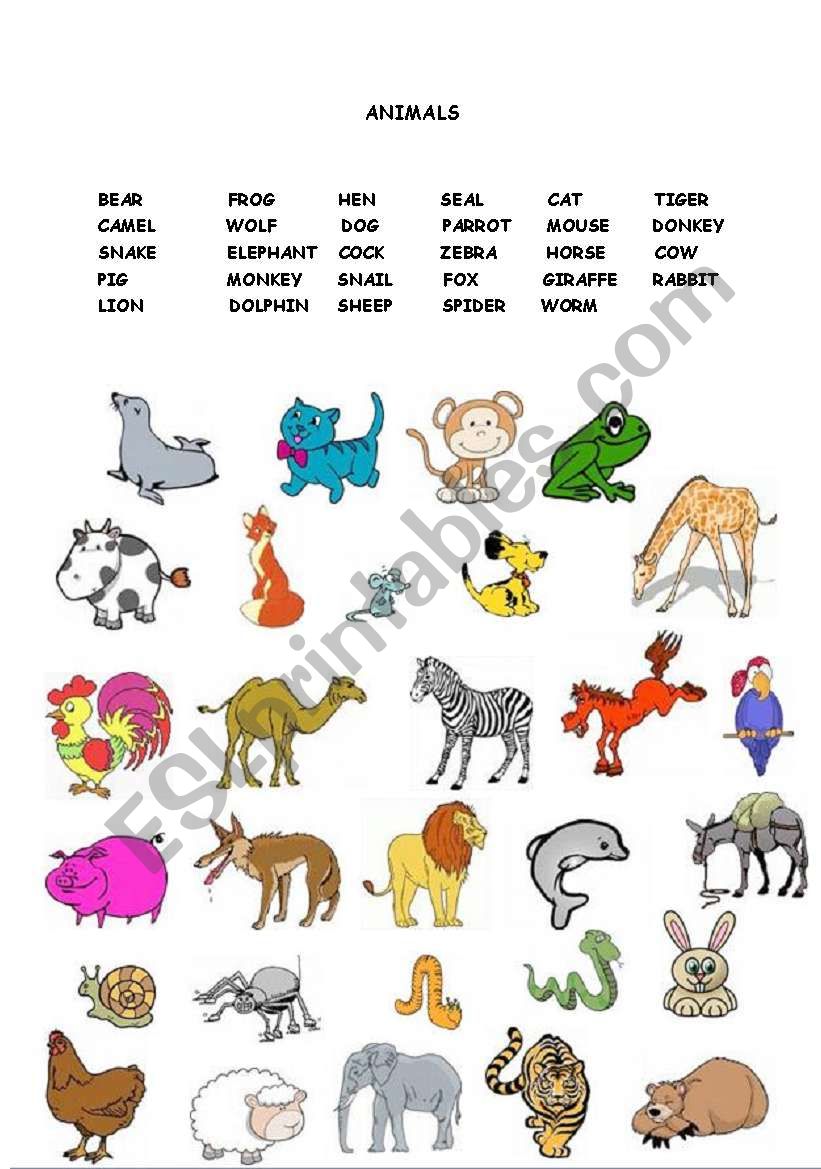 Animals - ESL worksheet by Ajloona