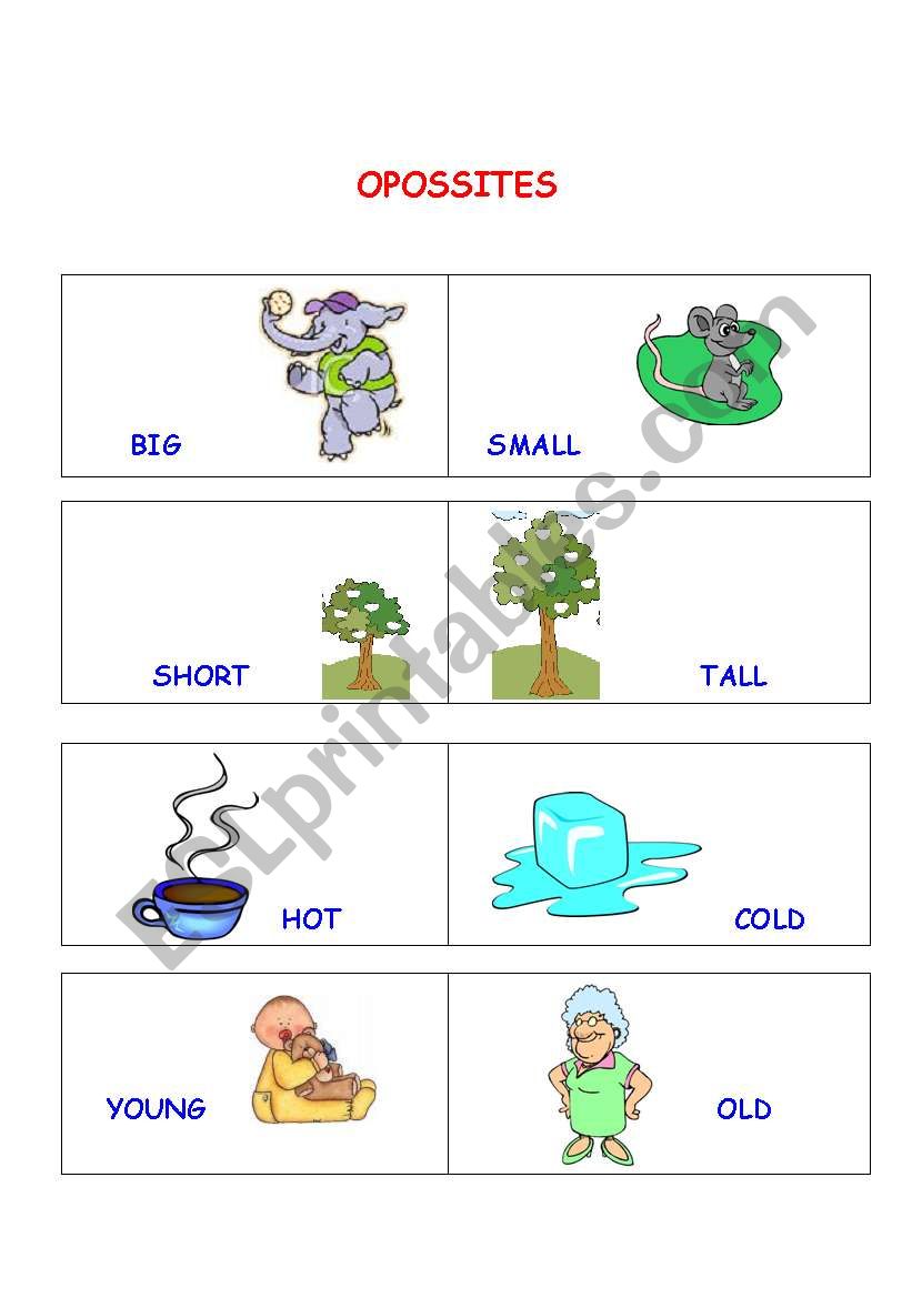 Basic opposites worksheet