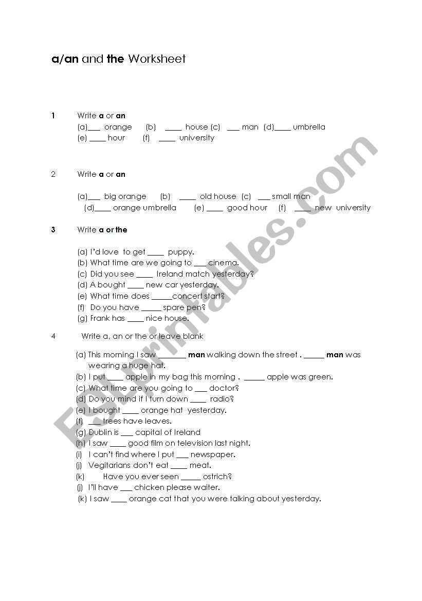 Articles Worksheet worksheet