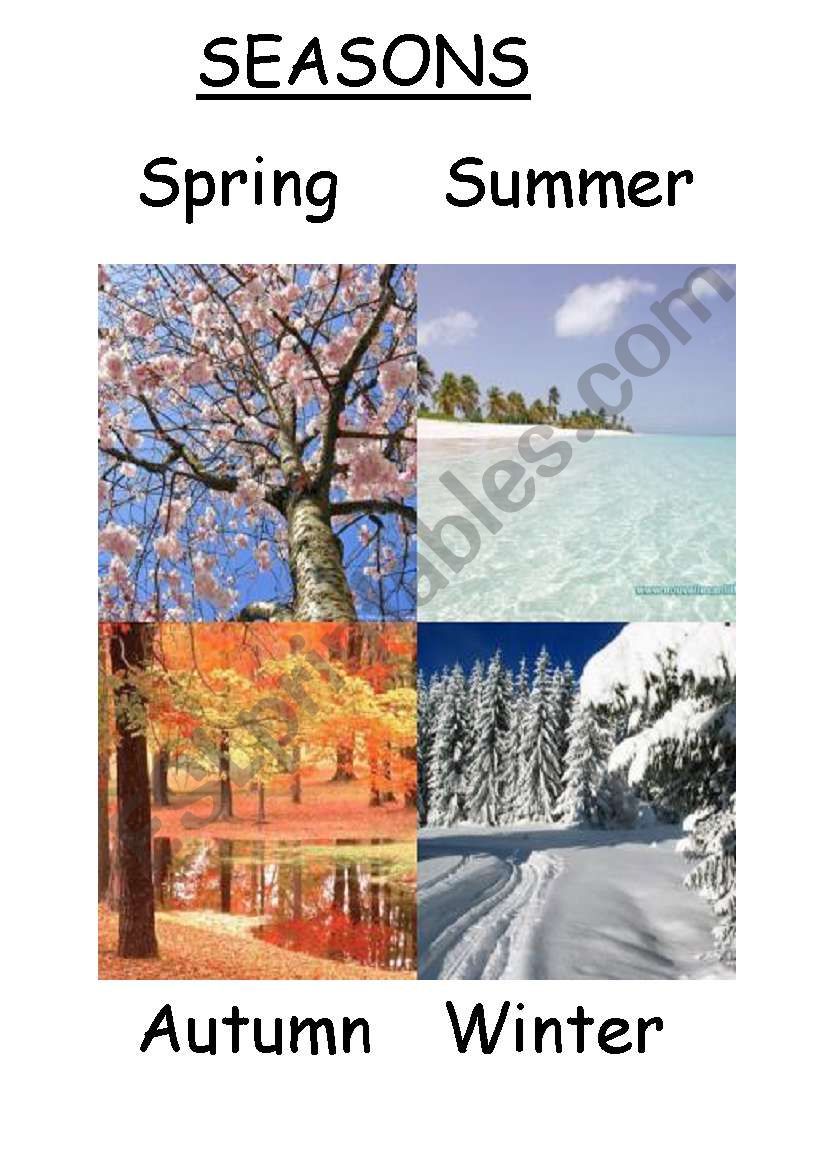 seasons board worksheet