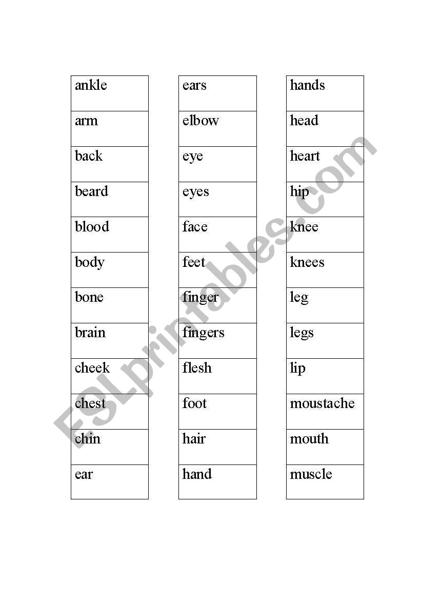 Beginning low Vocabulary worksheet