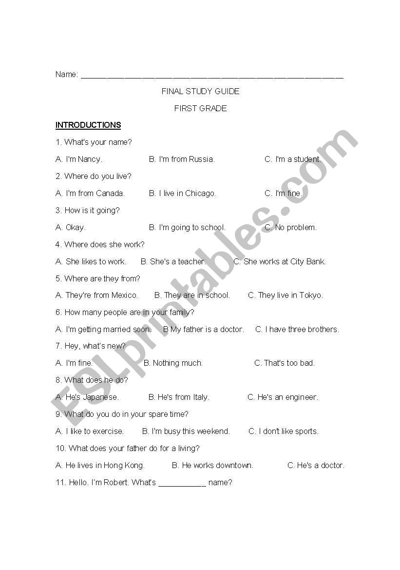 INTRODUCTIONS worksheet