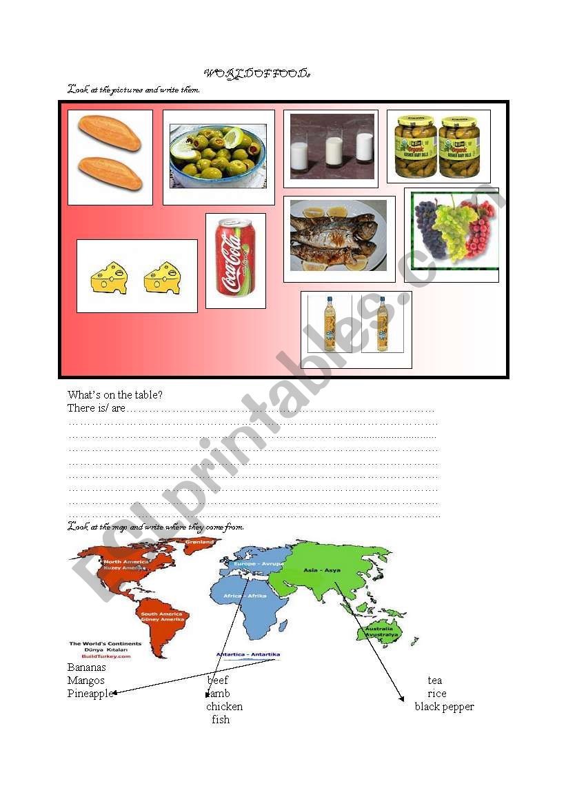 world of  foods worksheet